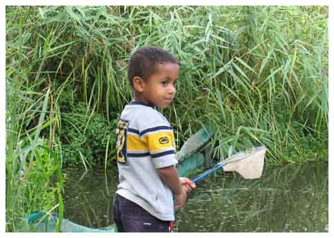 Boy with fishing net at Camley Street Natural Park